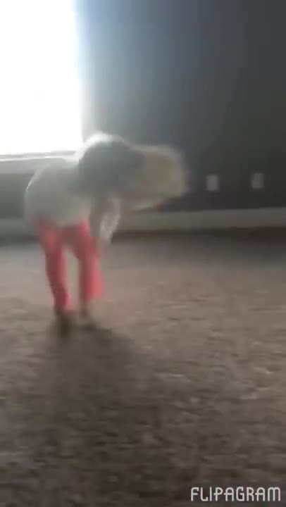 Dog Copying Cartwheels