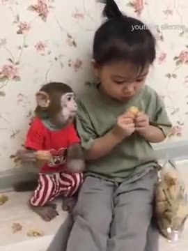 Kids & Pet Monkey