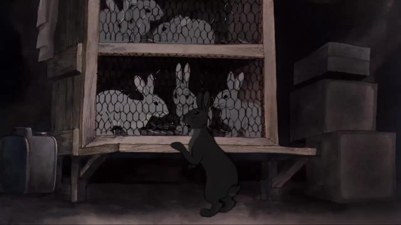 Watership Down - AniMat’s Classic Reviews