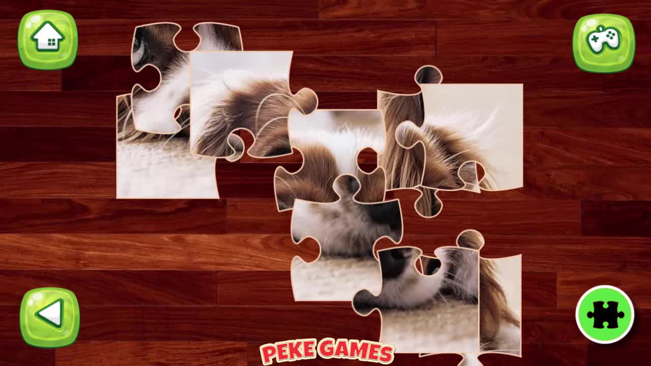 Funny Dogs Puzzle Walkthrough