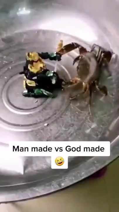 Deathmatch Between Robot And A Crab