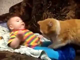 4-Legged Baby Sitter Won't Take No For An Answer