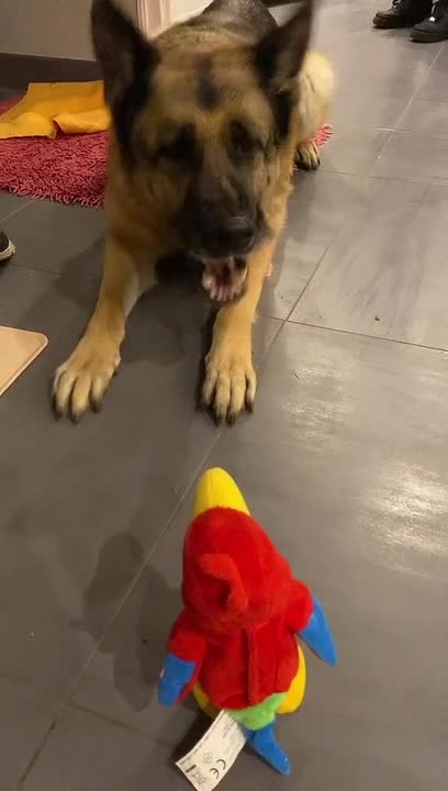 When the Toy Barks Back