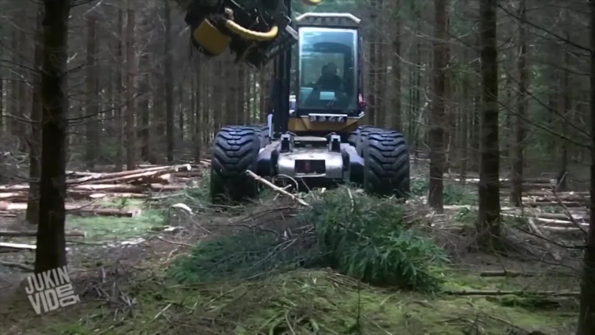 Incredible Tree Cutting Machine