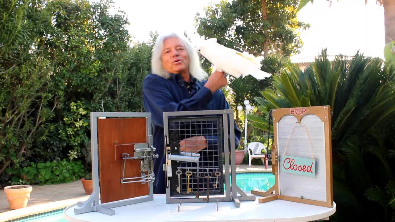 Man and Cockatoo Shows Off Amazing Tricks