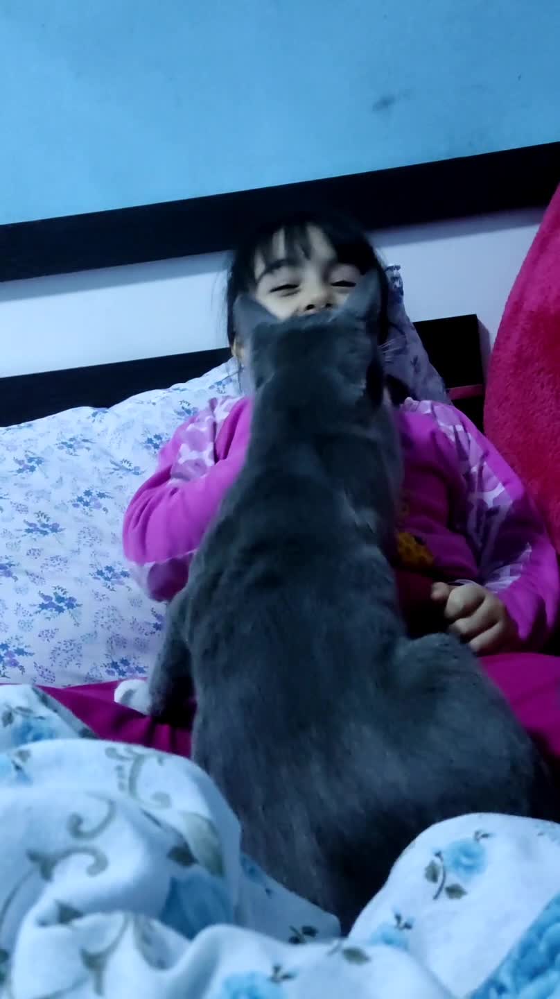 Cat Tries To Steal Food From Little Girl