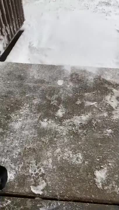 Person Has Hidden Grass Patch in Snowy Yard