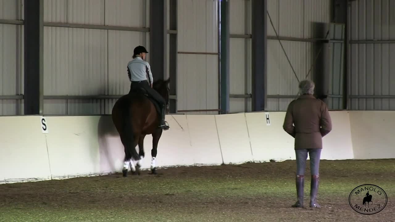 Training for Wellness with Manolo Mendez Dressage