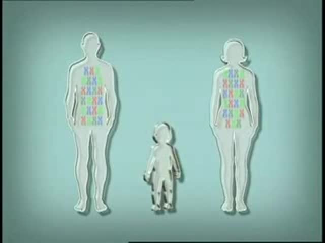 Animation - How DNA Works