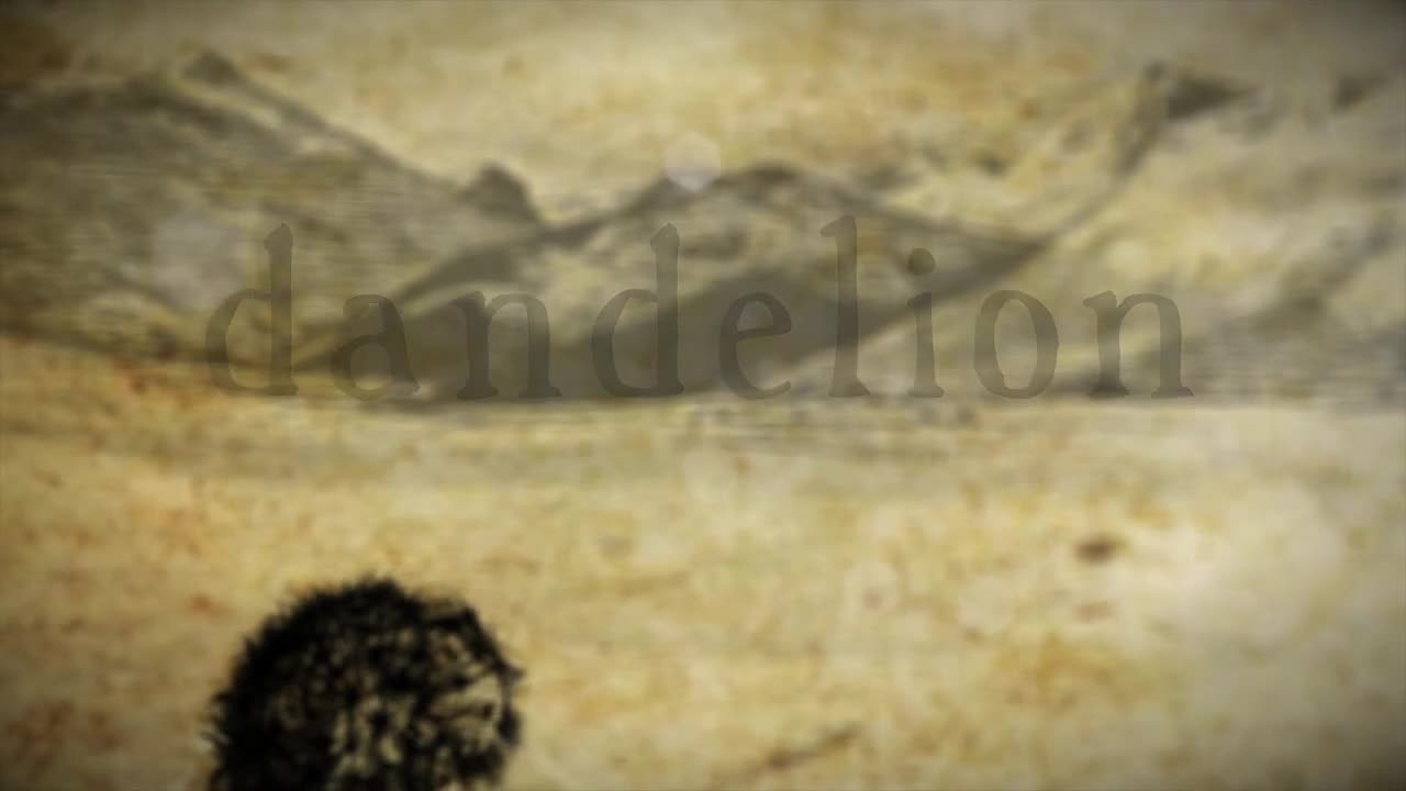 Dandelion - Animated Short by Klee Benally