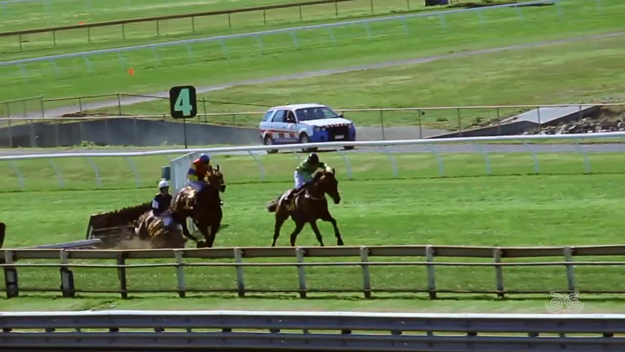 Coalition for the Protection of Racehorses