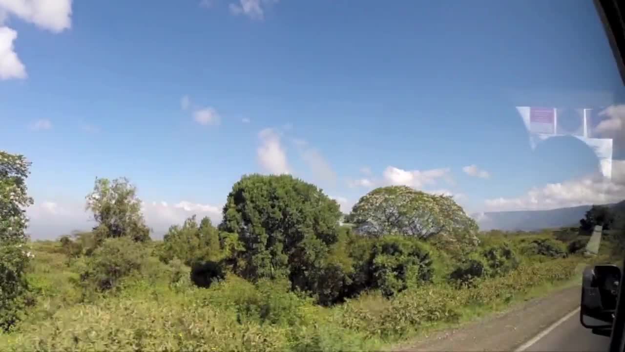 Giraffe Ride - First real day in Kenya