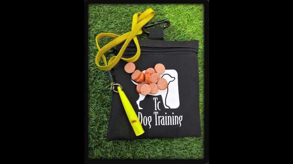 Dog Training’s Three Point Whistle Recall Training