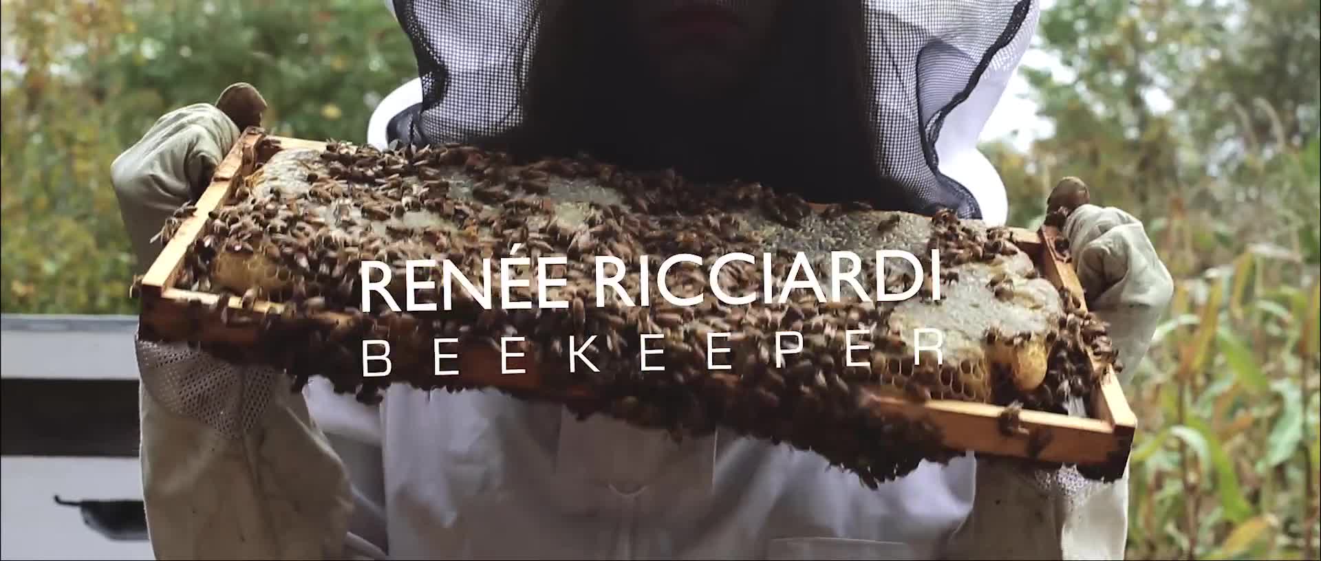 A Beekeepers Exploration