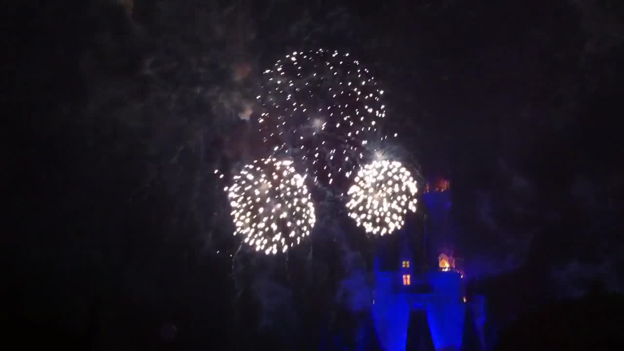Mickey’s Very Merry Christmas Party-Fireworks
