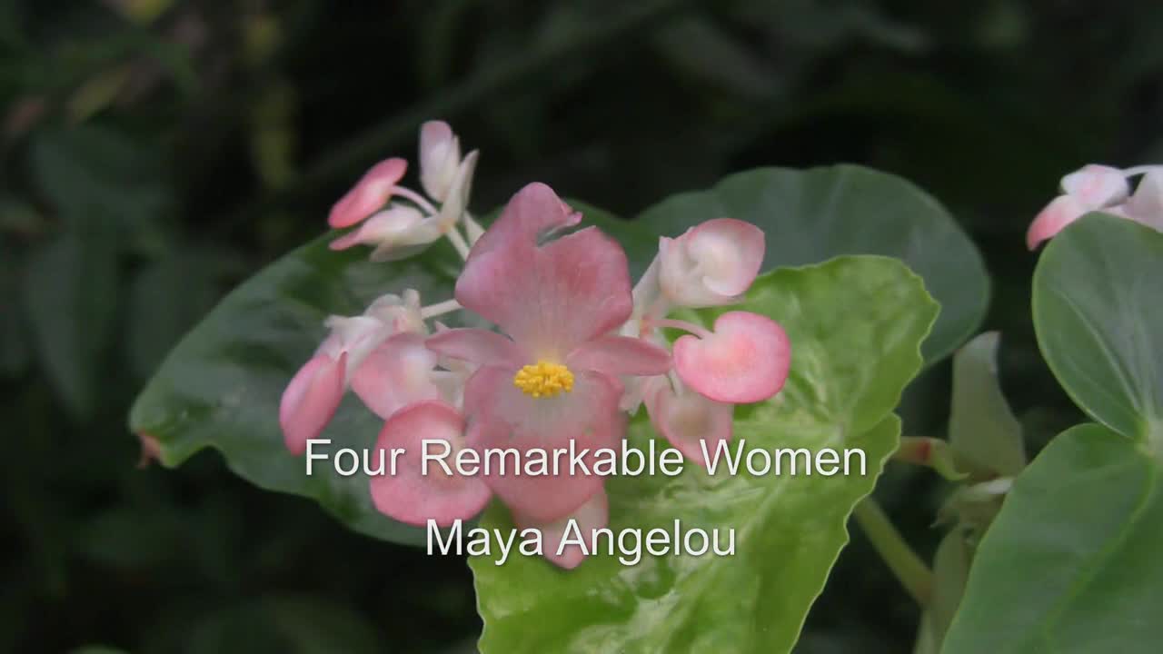 Four Remarkable Women