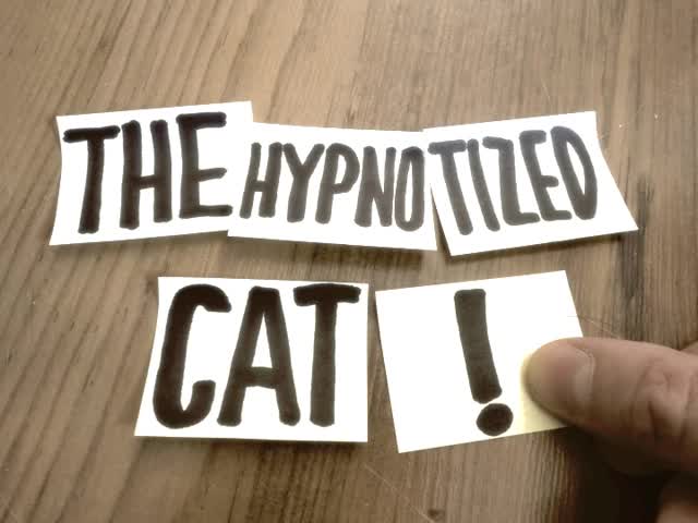 Meow: The Great Hypnosis Show
