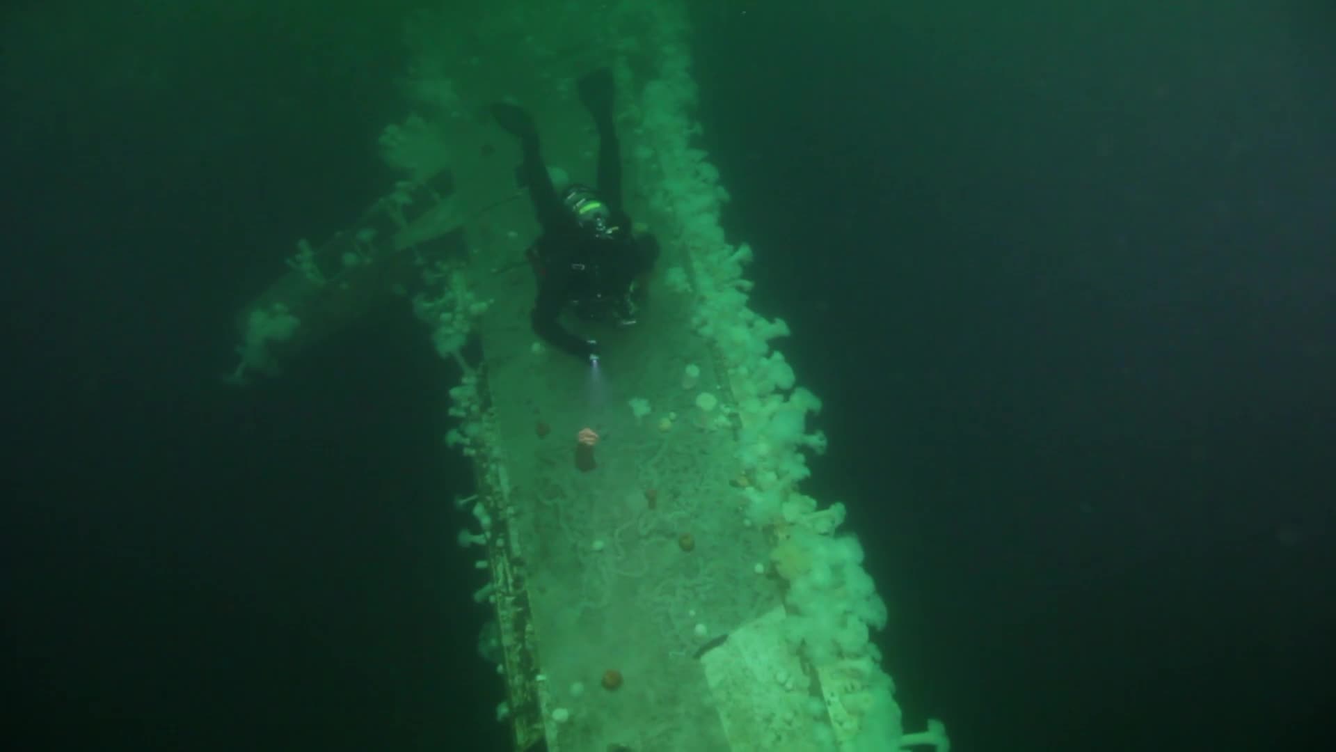 Underwater Boeing 737 Dive