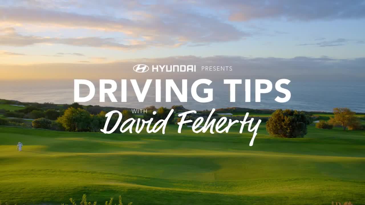 Hyundai: Driving Tips with David Feherty Form