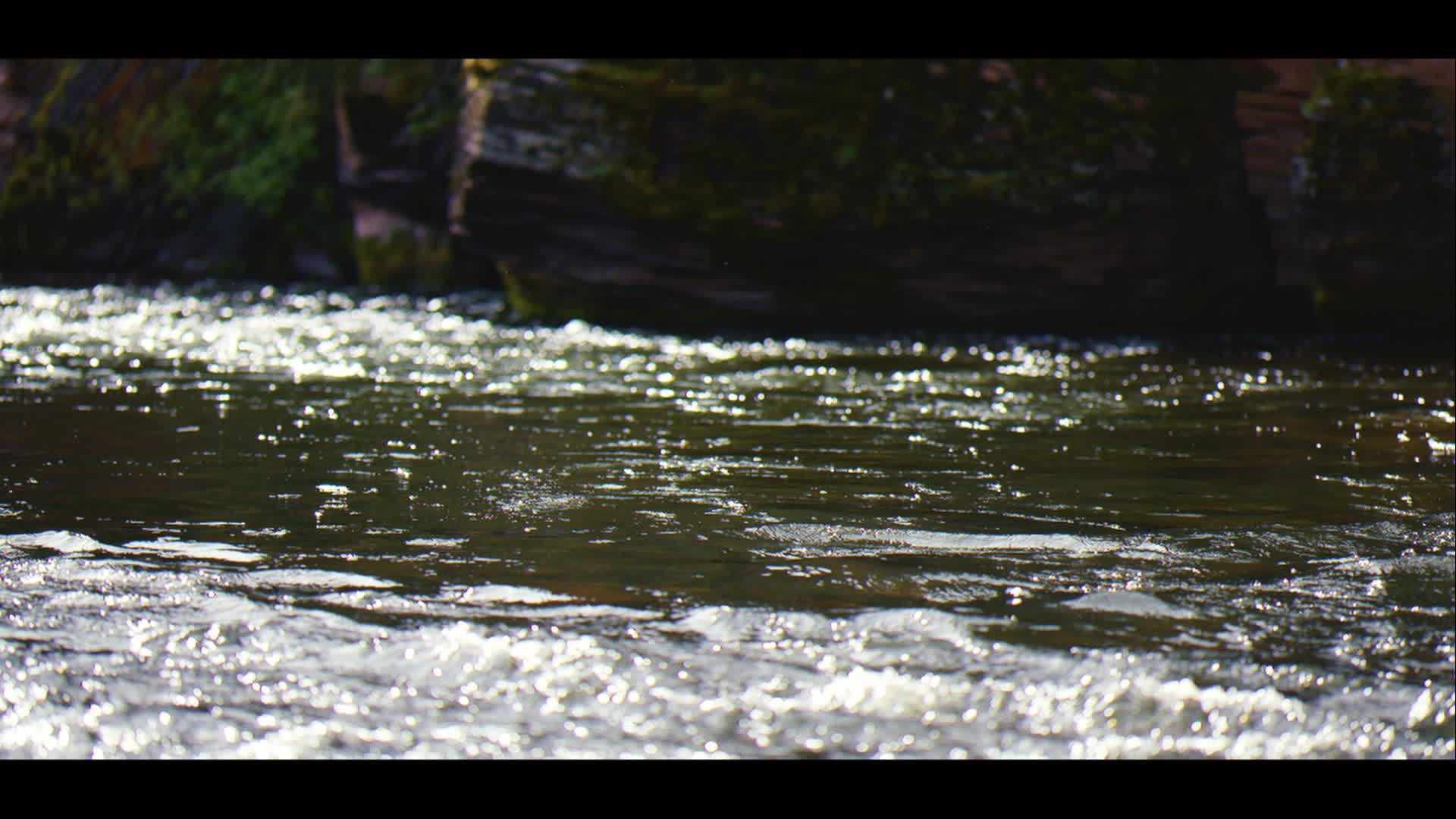 Fishing And Testing Sony F55