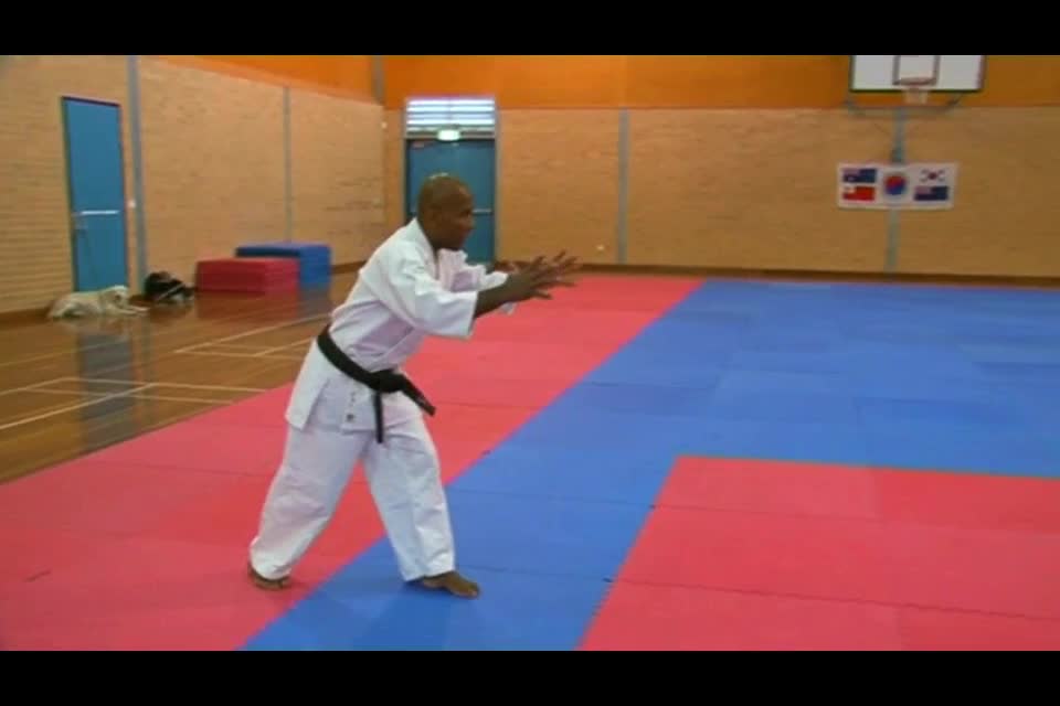 Master Paul Mitchell United Taekwondo Training