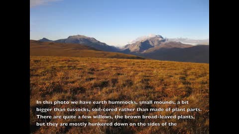Gates Of The Arctic NP: Tundra Landscapes