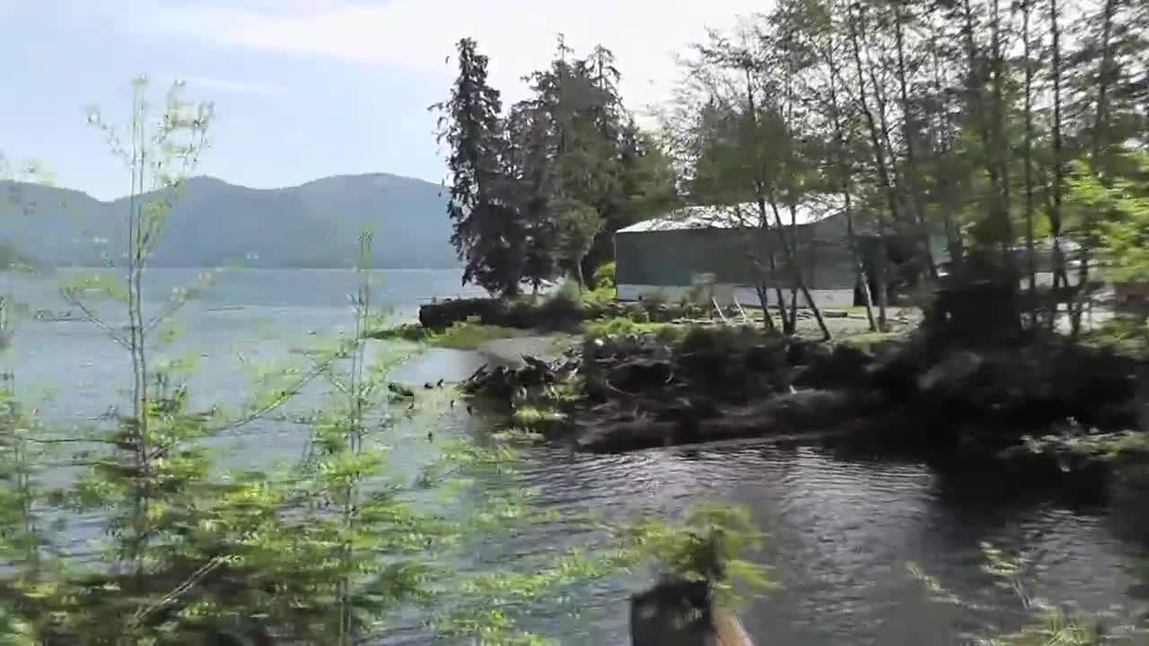 Drive By Birds In Water Alaska - Animals - 4fun.com