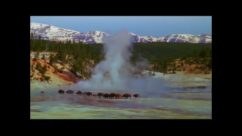 Yellowstone National Park: Land to Life