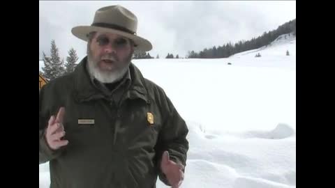 Yellowstone National Park: Winter Wildlife Viewing - Fun - 4fun.com