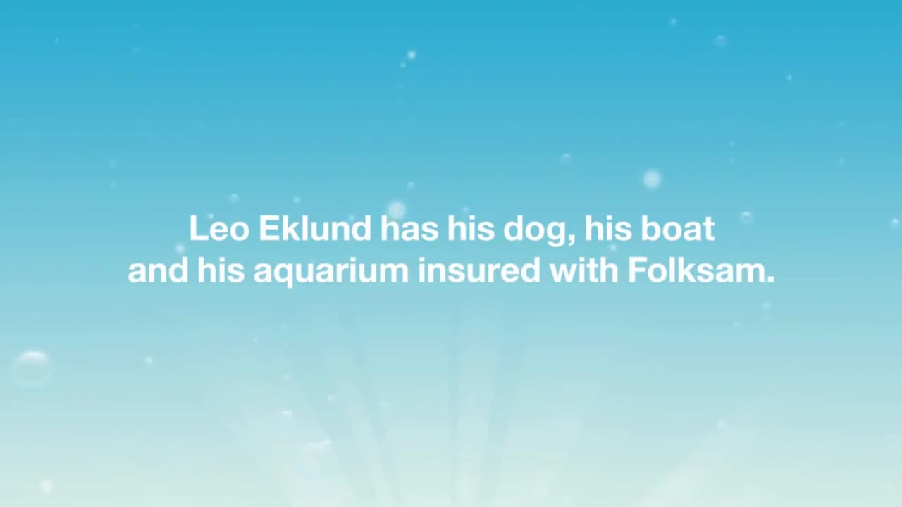 Folksam Commercial: Diving Dogs