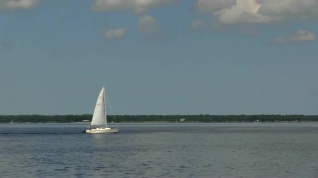 Sailboat on the Water