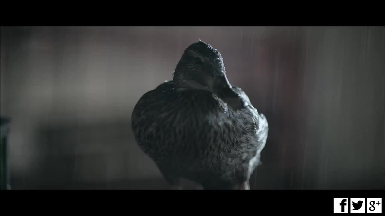Ikea Commercial: The Duck