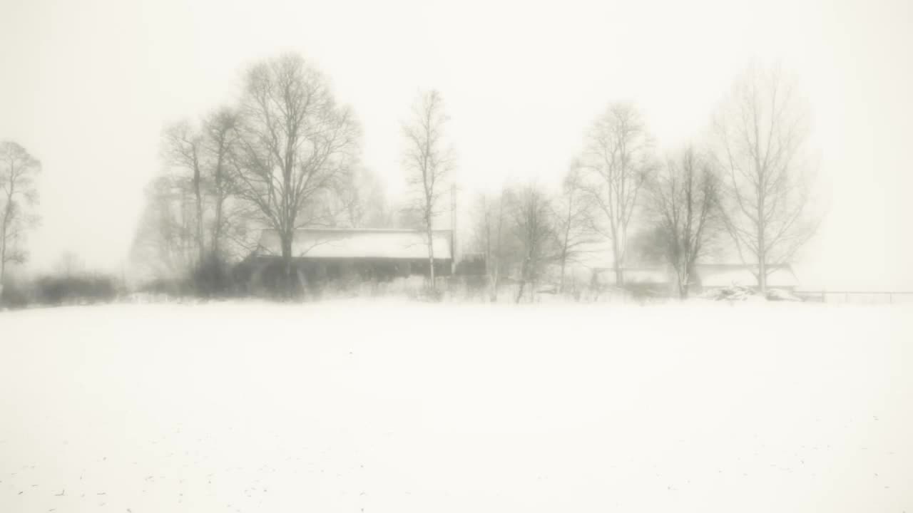Snow and Gorgeous Winter Landscape