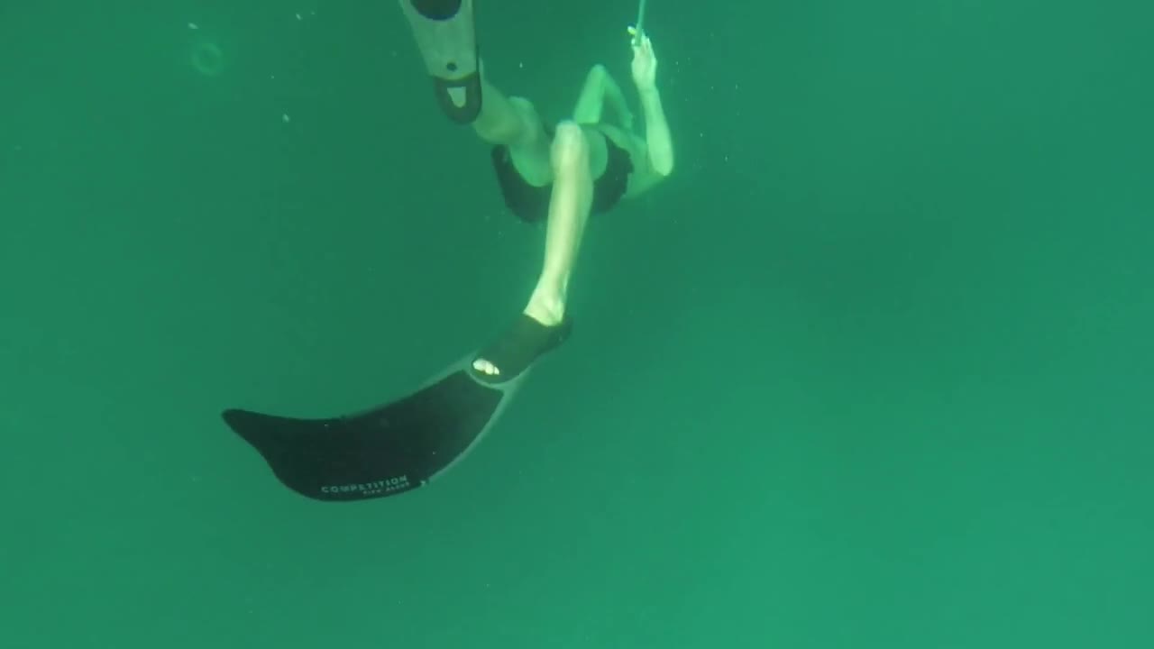 We Thought We Had Seen Everything In Freediving