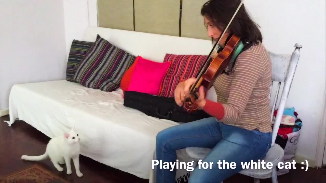 Violinna Vs White Cat