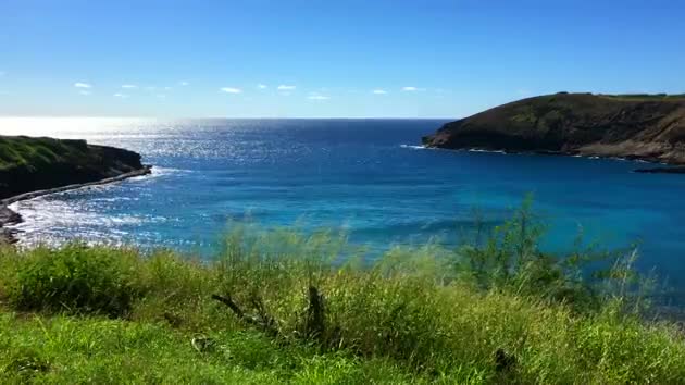 Hawaii Ocean