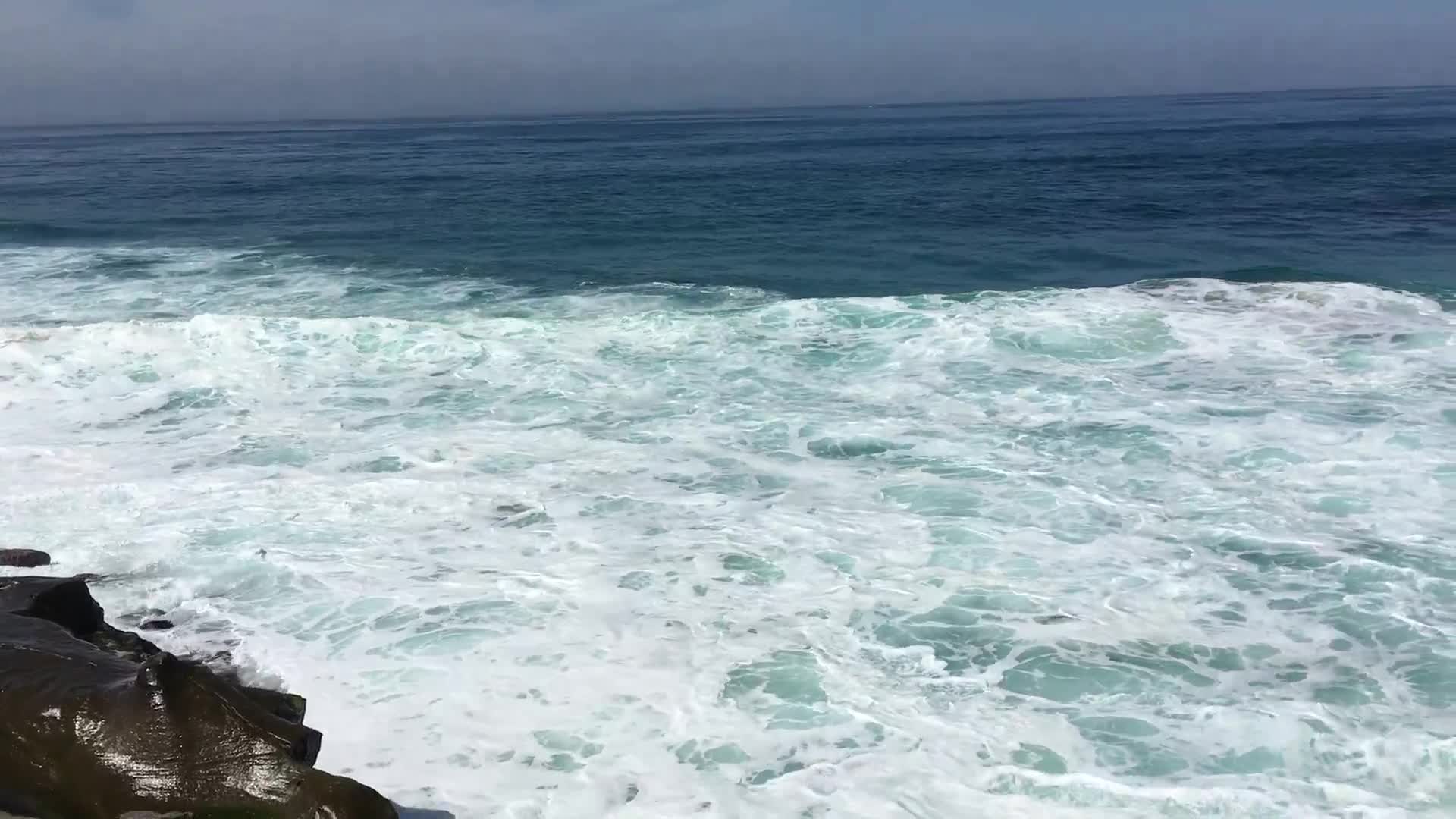 San Diego Waves